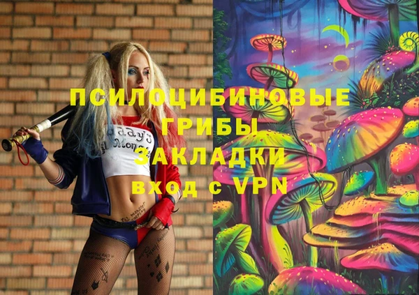 бошки Волоколамск